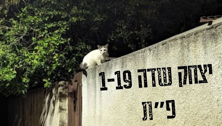 יצחק שדה 1-19 פתח תקווה