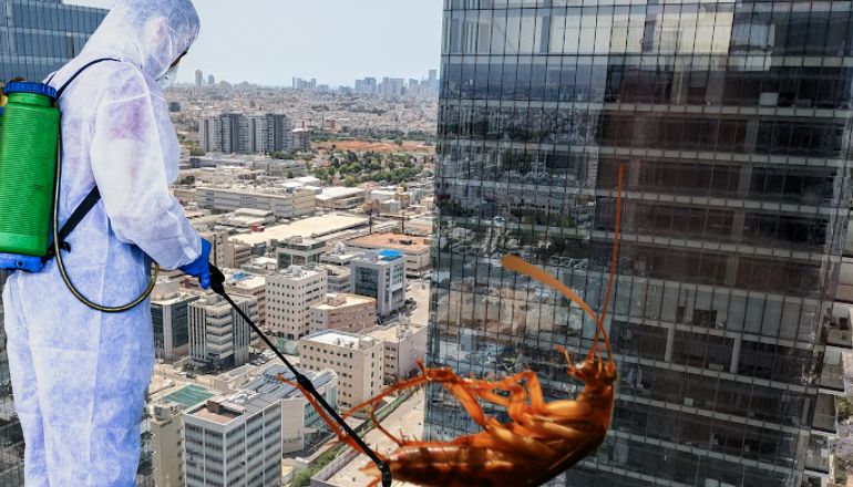ג'וקים בפתח תקווה